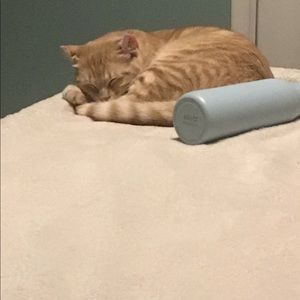 Meet your Posher, Casadie